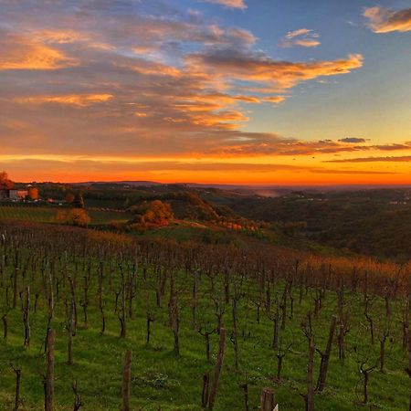 Bed and Breakfast Peterc Vineyard Estate Kojsko Exterior foto