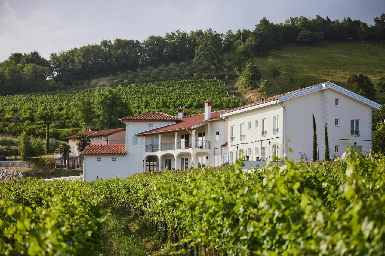Bed and Breakfast Peterc Vineyard Estate Kojsko Exterior foto