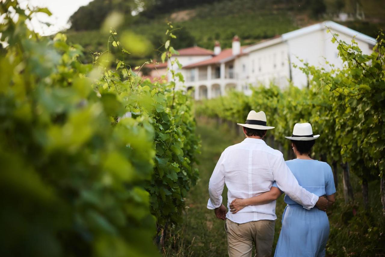 Bed and Breakfast Peterc Vineyard Estate Kojsko Exterior foto