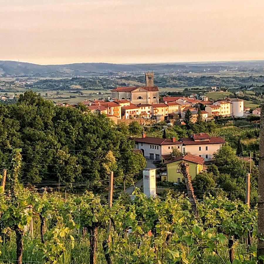 Bed and Breakfast Peterc Vineyard Estate Kojsko Exterior foto