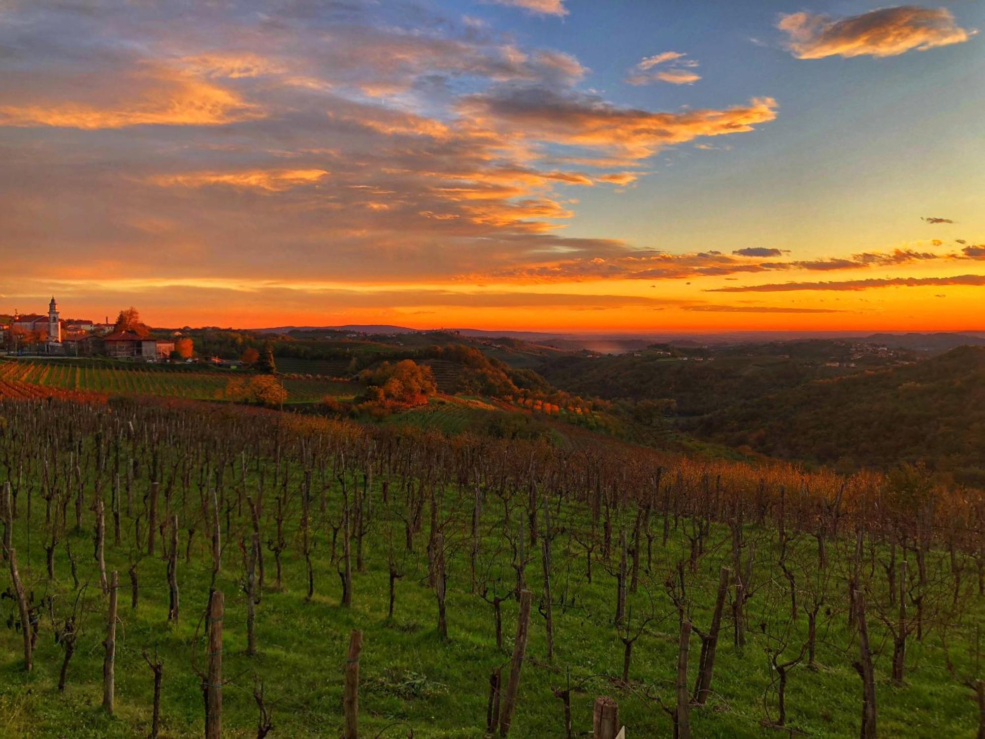 Bed and Breakfast Peterc Vineyard Estate Kojsko Exterior foto