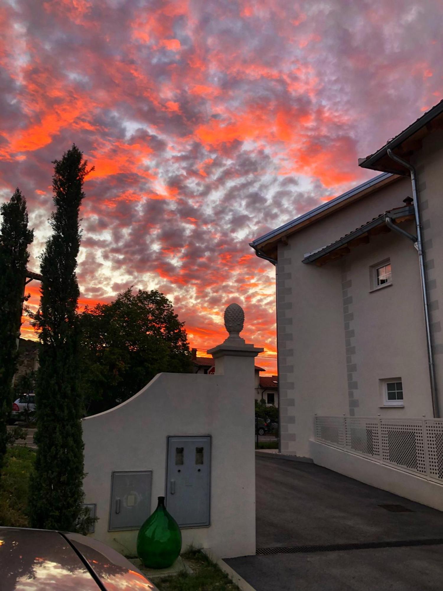 Bed and Breakfast Peterc Vineyard Estate Kojsko Exterior foto