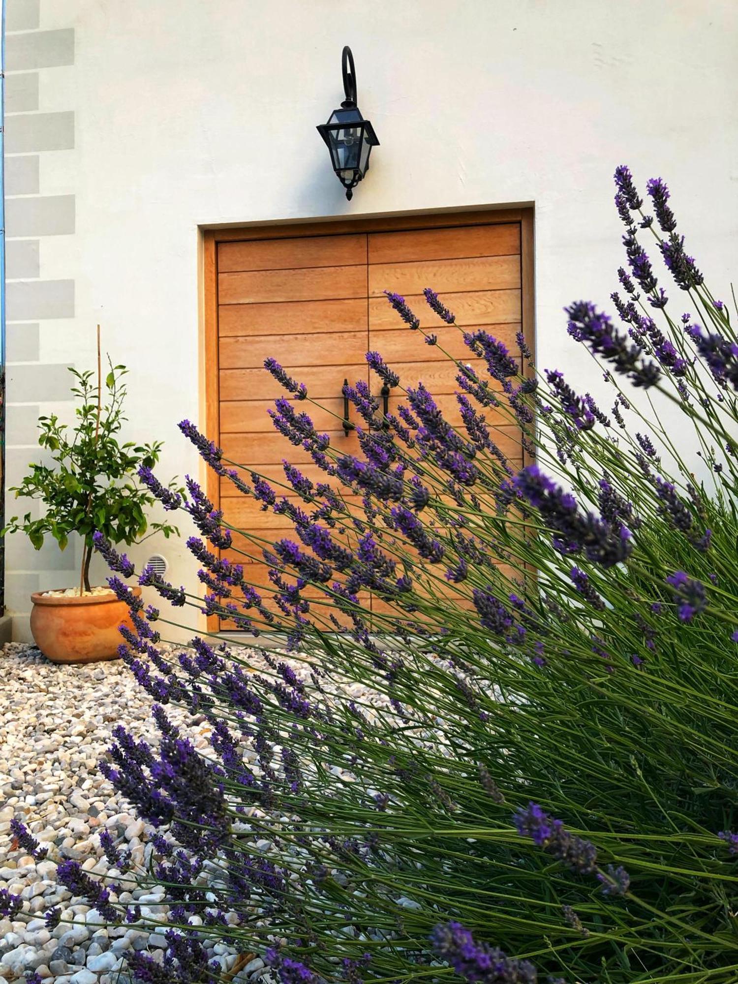 Bed and Breakfast Peterc Vineyard Estate Kojsko Exterior foto
